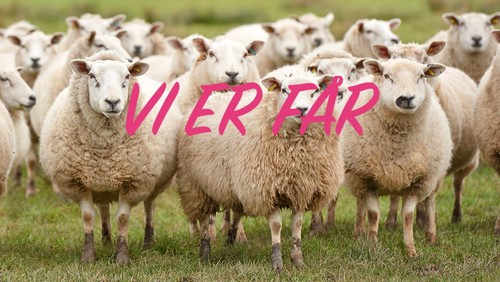 Vi er får! - prædiken 3.søndag efter påske af Morten Sternberg
