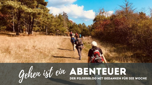 Blog 13: Wie die Natur unser Denken verändern kann