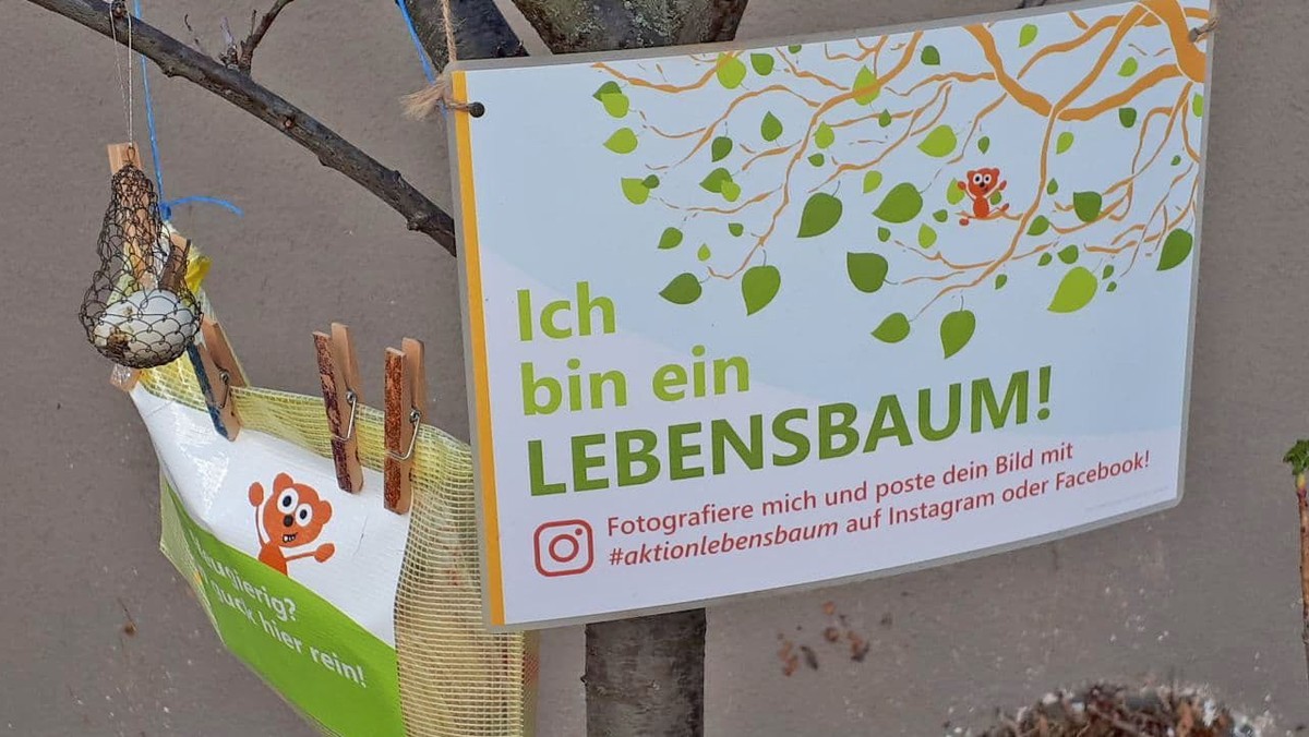 "Ein wenig Buntheit in dieser trüben Zeit" - Stimmen zur Osteraktion "Lebensbäume"