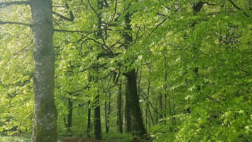 Pilgrimsvandring 2. Pinsedag