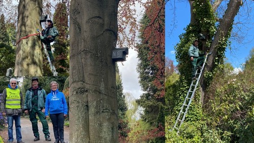 Unser Friedhof aus der Vogelperspektive