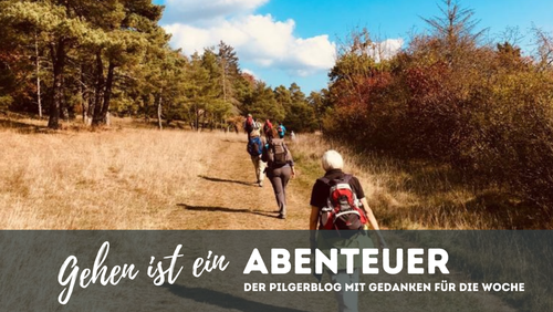 Blog 16: 50 Tage - Was Pfingsten mit der Obstblüte zu tun hat