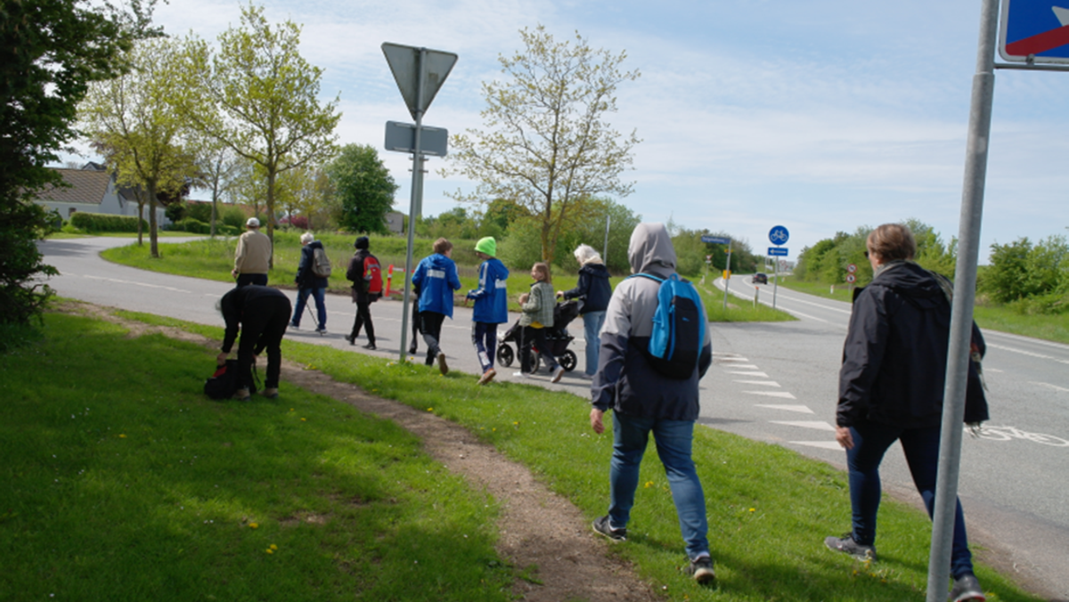 Pinsevandring