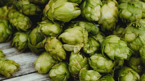 The Craft of Brewing - Saturday, October 9th @2pm