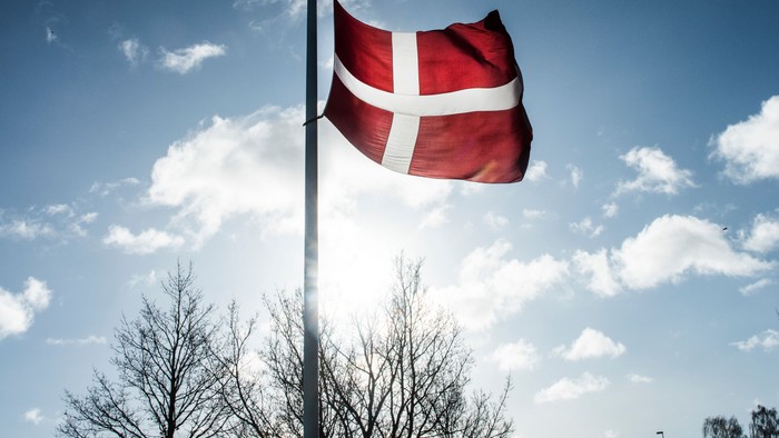 Dansk flag ved halmast foran blå himmel og træer