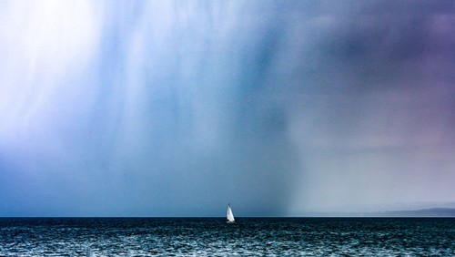 The Fourth Sunday After Pentecost: What do you do when you are afraid?