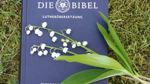 Predigt Konfirmation des Wochenmodell 2021