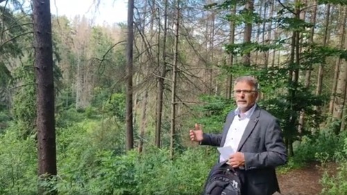 Das Bewahren der Schöpfung: Sonntags-Gottesdienst aus dem Zillertal am 27. Juni 2021