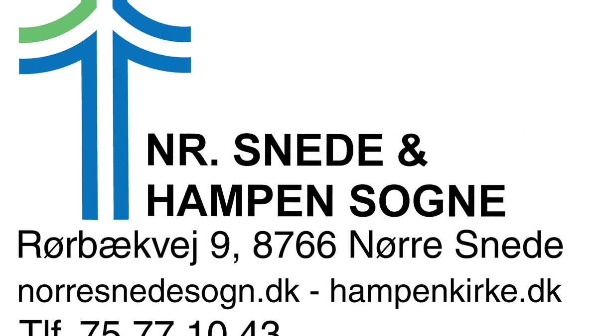 Regnskabstal offentliggøres på nettet