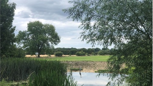 Thought for the week - 3 July 2021