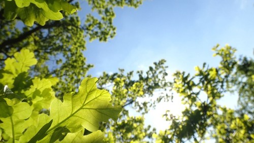 Sommeråbningstider på kirkekontoret