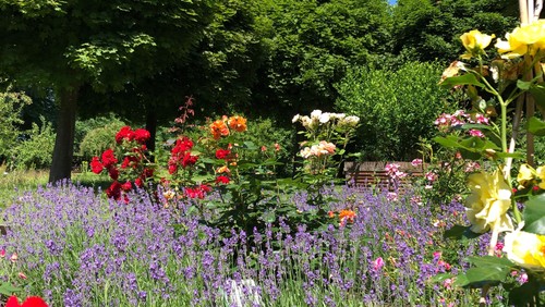 Die Natur, die Schöpfung und der Garten