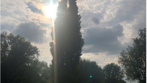 Thought for the week - 29 August 2021