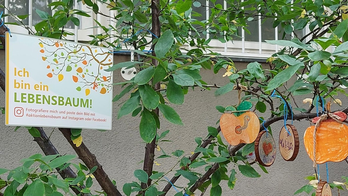 Besucht unseren Lebensbaum am Campus!