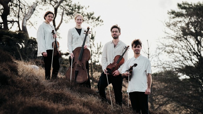 Fire musikanere står på en bakke med instrumenter