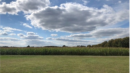 Thought for the week - 5 September 2021