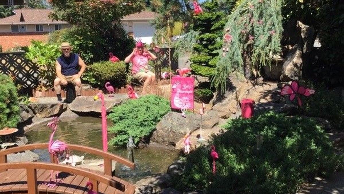 And it was a Flamingo Summer :)