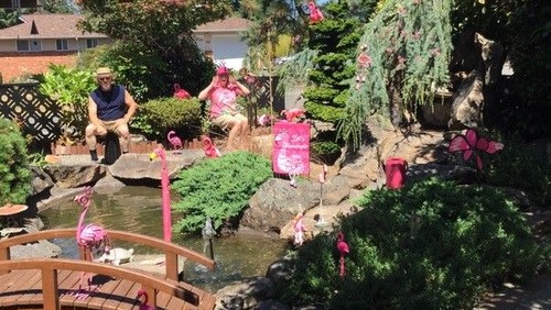 And it was a Flamingo Summer :)