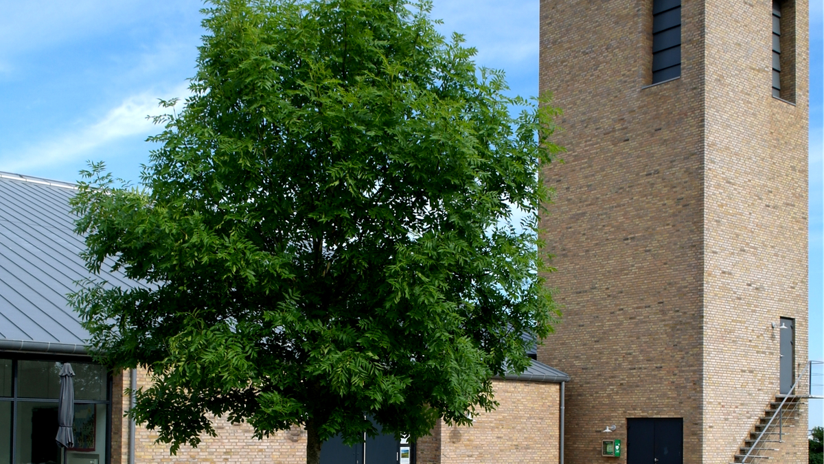 Hvad vil du gerne med din kirke???