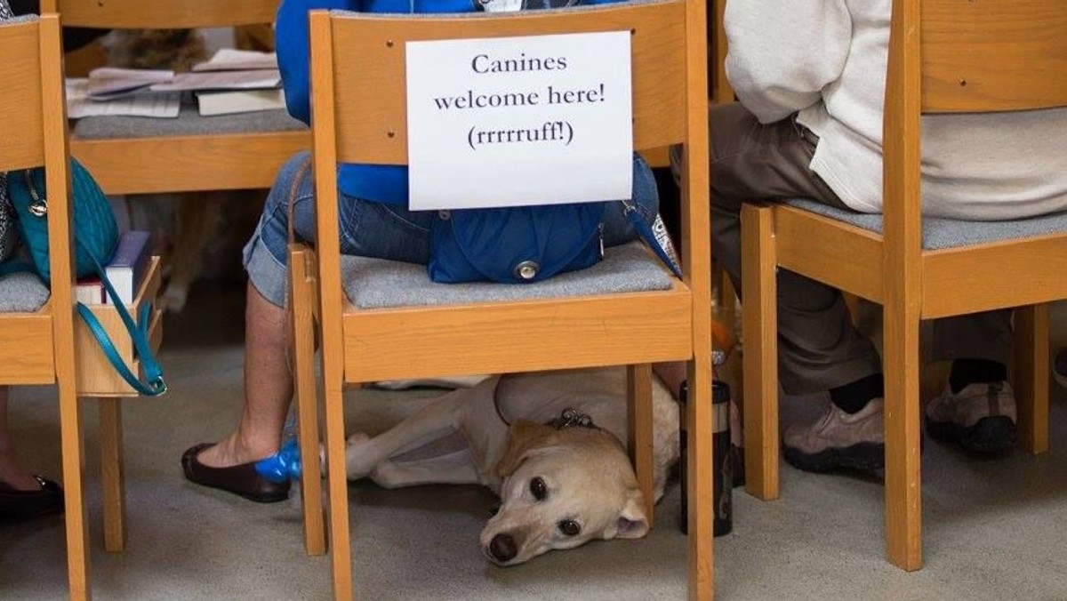 Oct. 3rd: St. Francis Feast Day - Blessing of the Animals and Honey for Sale!