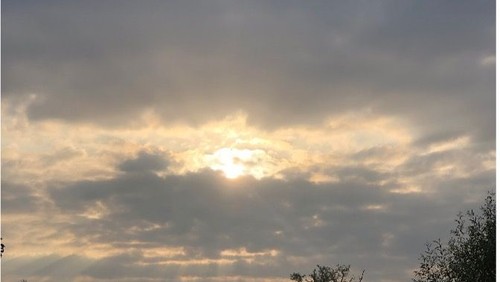 Thought for the week - 26 September 2021
