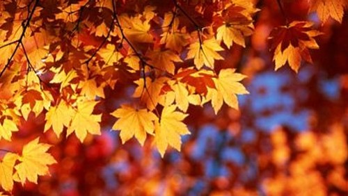 Newsletter 10 October 2021