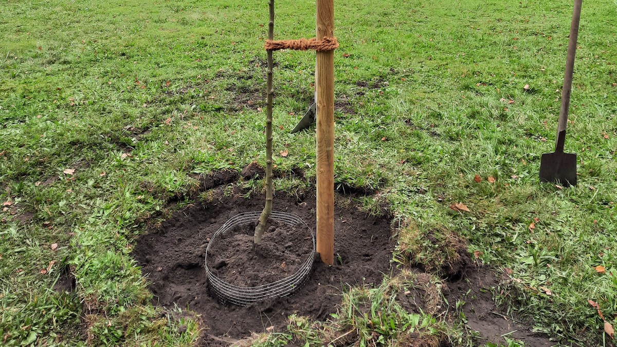 Streuobstwiesen-Projekt geht in die Umsetzung