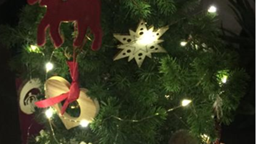 Creation-friendly Advent & Christmas