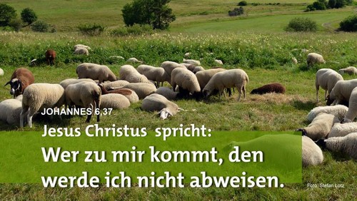 Impuls zur Jahreslosung 2022 von Dekan Andreas Friedrich