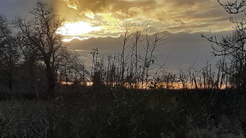 Glimpses of Glory