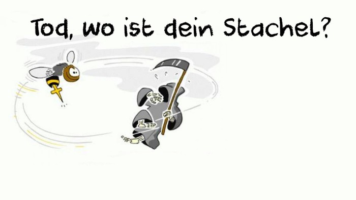Eine Zeichentrickbiene fragt eine umgefallene Motorrad humorvoll, wo ihr Stachel sei.