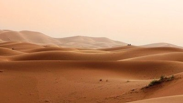 Weite Sanddünen unter einem klaren Himmel