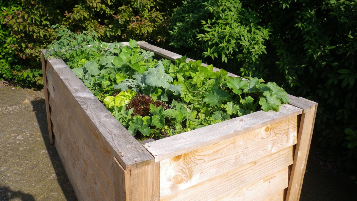 Urban Gardening
