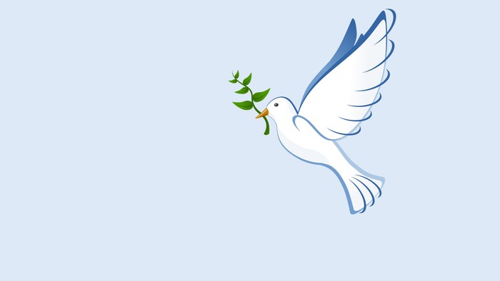 Ein weißer Taube hält einen grünen Zweig im Schnabel