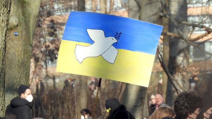 Eine Person hält eine Flagge in Blau und Gelb mit einer weißen Taube als Friedenssymbol im Freien.
