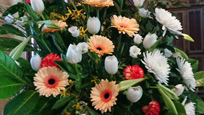 Bright bouquet of white tulips, orange and red gerbera daisies, and green leaves.