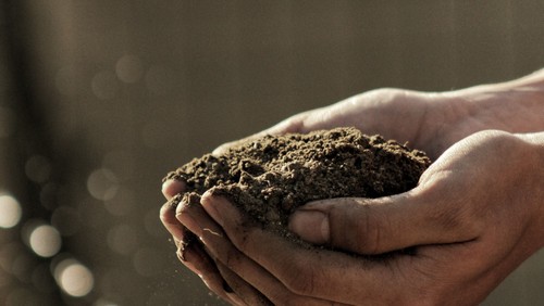 Sermon for the Third Sunday in Lent: How We All Perish
