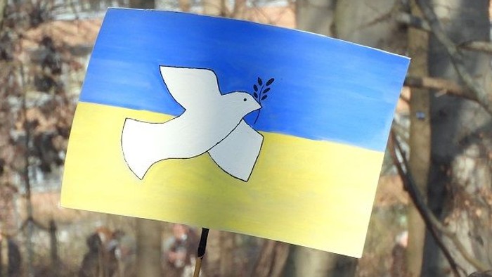 Eine Person hält eine Flagge in Blau und Gelb mit einer weißen Taube als Friedenssymbol im Freien.
