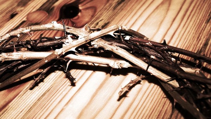 Ein Haufen trockener Zweige liegt auf einem Holzboden.