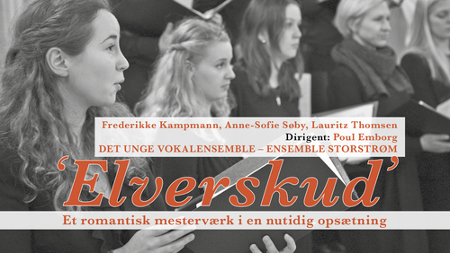 Koncert Elverskud
