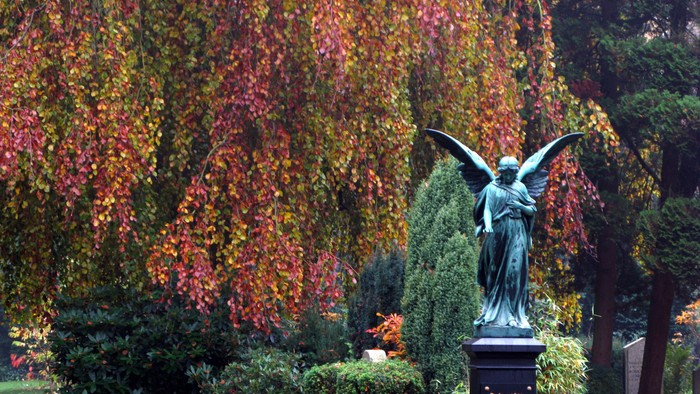 En engelsstatue foran en træ med rød og orange løver i en park