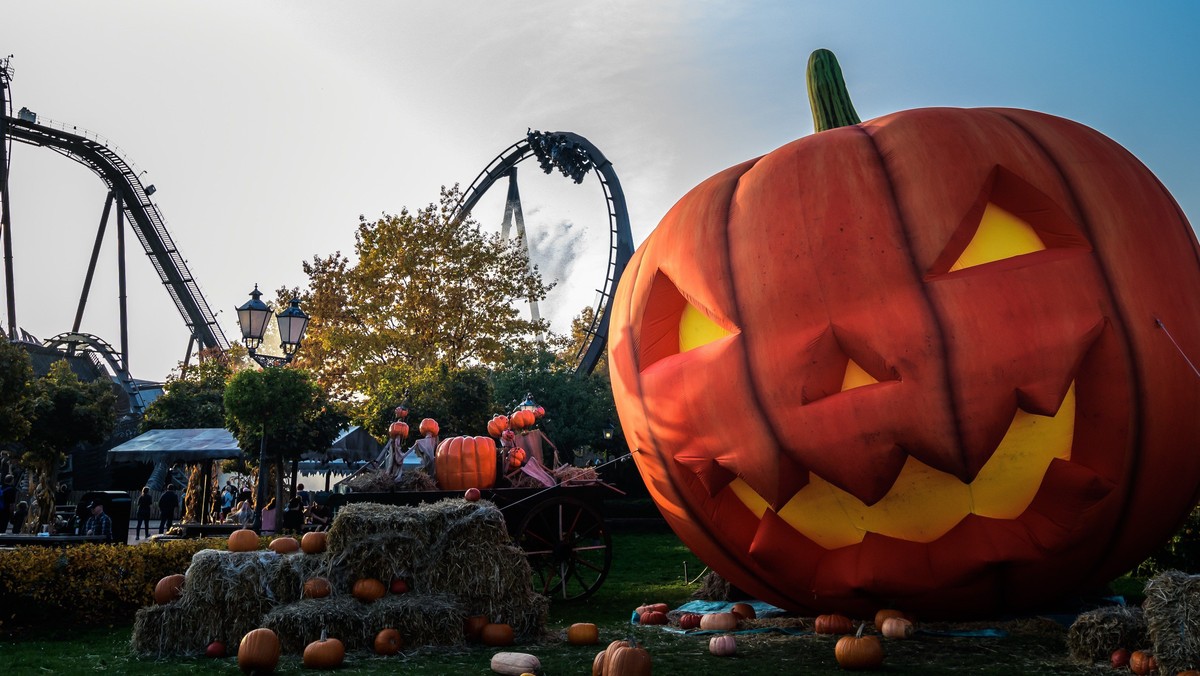 Tagesausflug: Heide Park