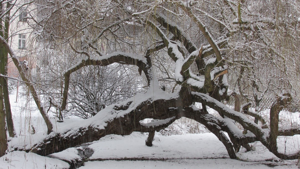Stille Tage im Advent