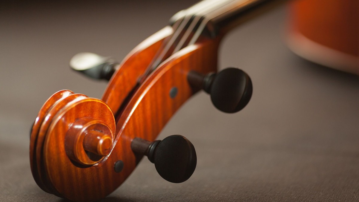 Kaiser Strings Berlin