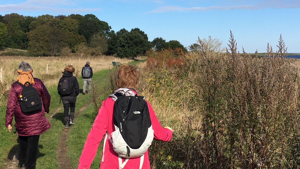 Keltisk pilgrimsvandring med Apostelkirken