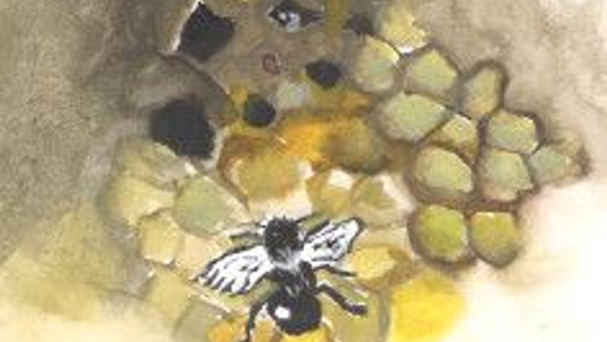Wildbienen Winter- Aktion
