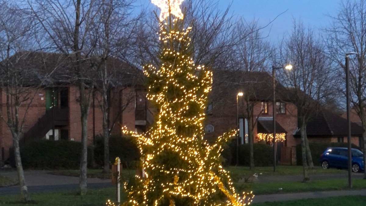 Community Carols around the Christmas Tree