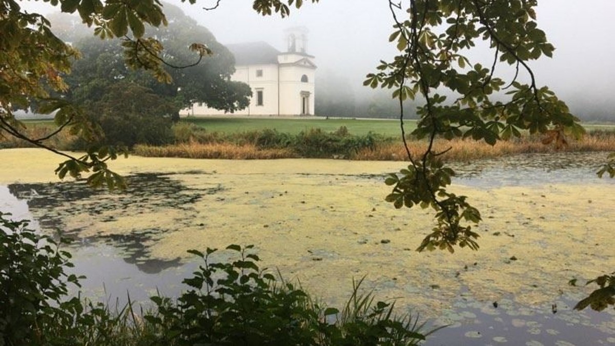 Morgensang