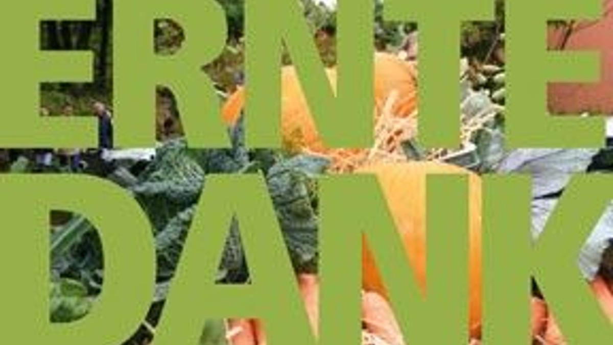 ERNTEDANK Info auf www.kgmsi.de