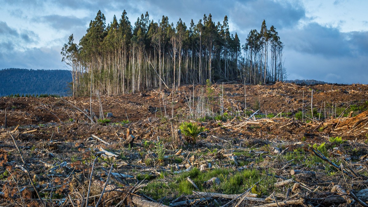 Klimagudstjeneste